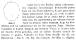 Testudinella aspis