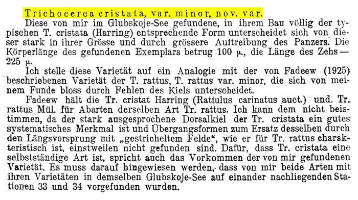 Trichocerca cristata var. minor - Original description image