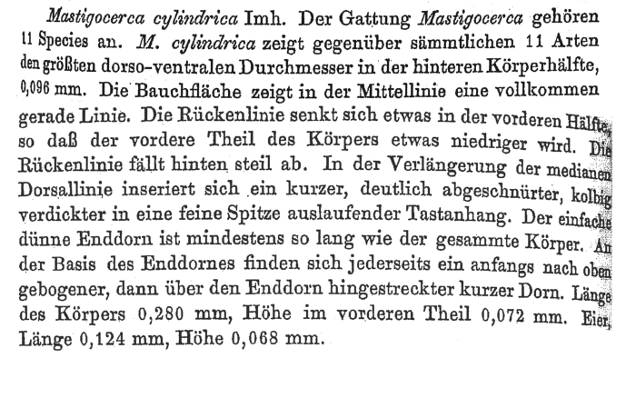 Trichocerca cylindrica - Original description image