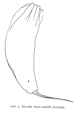 Trichocerca dixonnuttalli