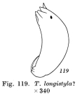 Trichocerca intermedia
