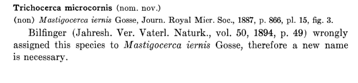 Trichocerca microcornis - Original description image