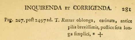 Trichocerca rattus