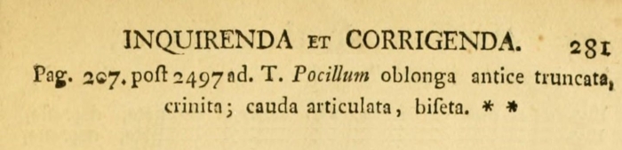 Trichotria pocillum - Original description image