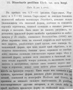 Trichotria pocillum var. bergi - Original description image