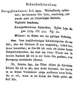 Vaginaria brachiura - Original description image