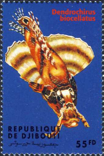 Dendrochirus biocellatus Dendrochirus biocellatus
