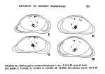 Bythocypris mozambiquensis Maddocks, 1969 from the original description
