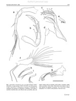 Xylocythere sarrazinae Tanaka, Lelièvre & Yasuhara, 2019 from the original description