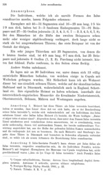 Iulus scandinavius 