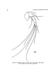 Thaumatoconcha radiata Kornicker & Sohn, 1976 from the original description