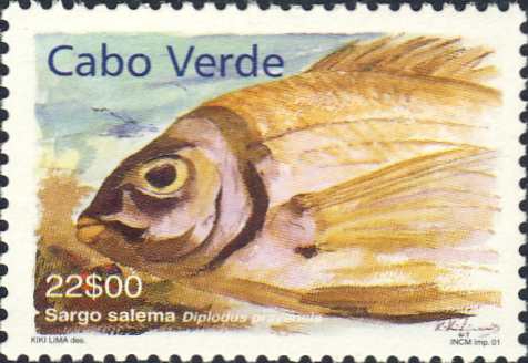 Diplodus prayensis Diplodus prayensis