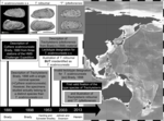 Summary of the taxonomic confusion on “Cythere scabrocuneata