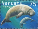 Dugong dugon