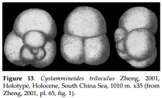 Cystamminoides triloculus Zheng, 2001