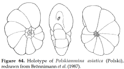 Polskiammina asiatica (Polski, 1959)