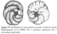 Abyssotherma pacifica Brönnimann, Van Dover & Whittaker, 1989