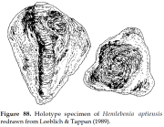 Hemlebenia aptiensis Loeblich & Tappan, 1989