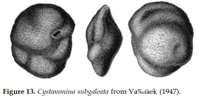Praesphaerammina subgaleata (Vašíček, 1947)