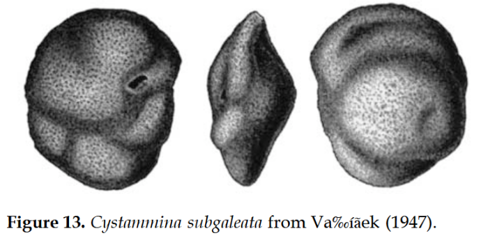 Praesphaerammina subgaleata (Vašíček, 1947)