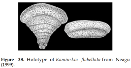 Kaminskia flabellata Neagu, 1999