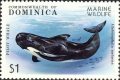 Mammalia (mammals)