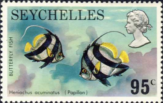 Heniochus acuminatus Heniochus acuminatus