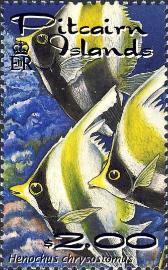 Heniochus chrysostomus Heniochus chrysostomus
