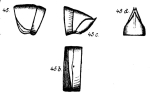 Odontopyge bipartita