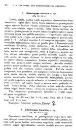 Odontopyge bipartita