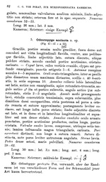 p. 82 Odontopyge ecarinata
