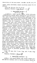 p. 81 Odontopyge ecarinata
