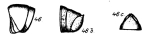 figs. 46 Odontopyge grandis