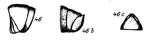 figs. 46 Odontopyge grandis