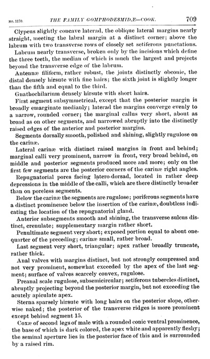 p. 709 Tymbodesmus figlinus