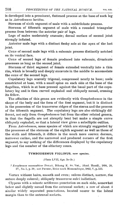 p. 708 Tymbodesmus figlinus p. 708 Tymbodesmus figlinus