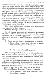 Original description p. 25 Oxydesmus tuberculifrons Porat, 1892