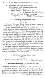 p. 36 Oxydesmus tuberculifrons Porat, 1893