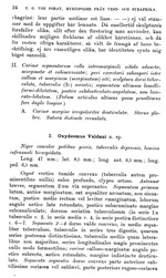  Original description p. 24 Oxydesmus valdaui