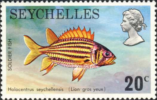 Holocentrus seychellensis Holocentrus seychellensis