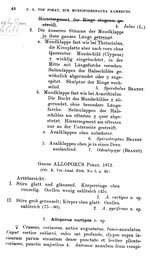 Original description p. 48 Alloporus curtipes Porat, 1894