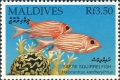 Pisces (fish)