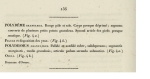 Original description p. 156 Polydesmus granulosus Palisot de Beauvois, 1805