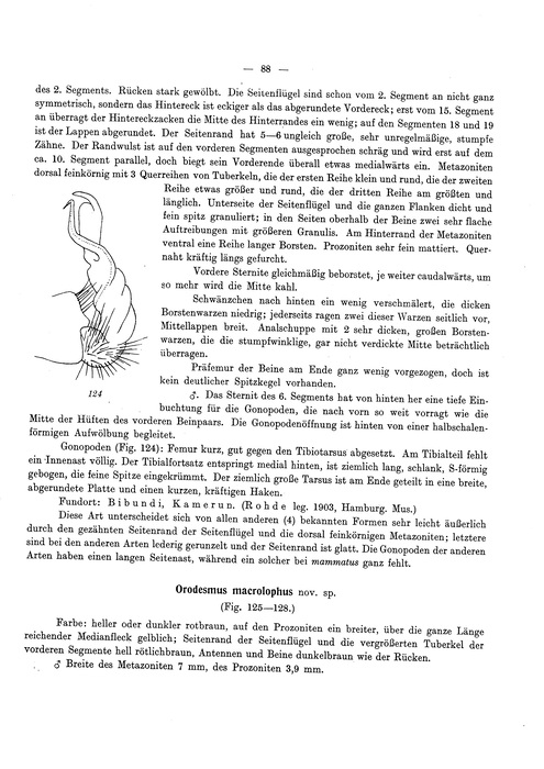 Original description p. 88 Plagiodesmus mammatus Attems, 1931