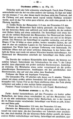 Original description p. 63 Oxydesmus arenaceus Attems, 1927