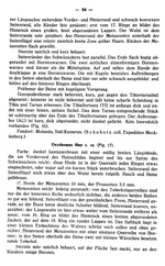 Original description p. 64 Oxydesmus arenaceus Attems, 1927