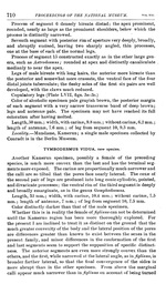 Origional description p. 710 Tymbodesmus vidua Cook, 1899