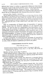 Origional description p. 711 Tymbodesmus vidua Cook, 1899