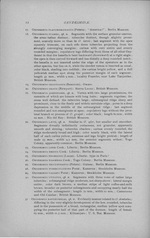 Original description p. 12 Oxydesmus vittatus Cook, 1896