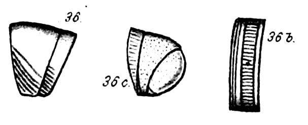 Original description figs. 36-36c Spirostreptus limbiger Porat, 1894